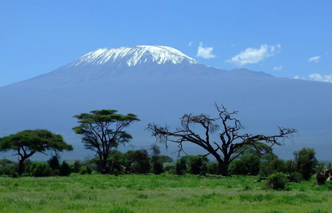 Kilimanjaro's glacier has lost around 90% of its ice volume over the past 150 years. “Due to climate change, the ice is expected to disappear completely over the coming decades.