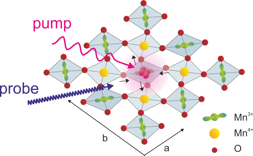 The principle of the experiment described. At the beginning the manganese atoms occur in three different states which correspond to the various electron states – orbitals (spherical – yellow – or dumbbell-shaped with two different orientations – green). A laser pump excites the electrons. An x-ray laser probe examines the different states.