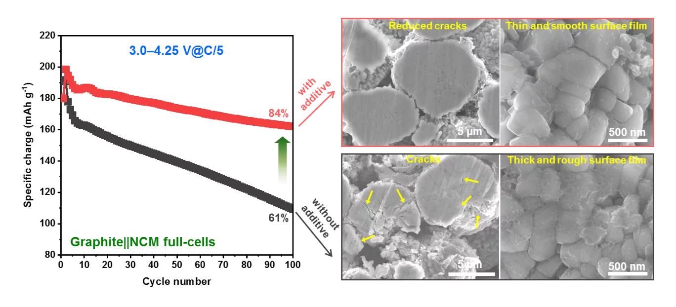 NCM Full Cells