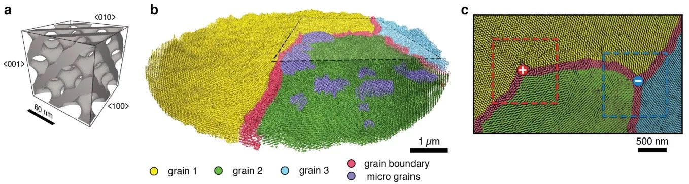 Nanostructures revealed in a self-assembled block copolymer templated in gold by X-ray nanotomography. (a) 3D rendering of a model cubic single-diamond crystalline structure. (b) 3D rendering of the entire measured sample, where colors indicate grains with different crystalline orientations. (c) 2D cut through 3D rendering showing two topological textures found in the sample.