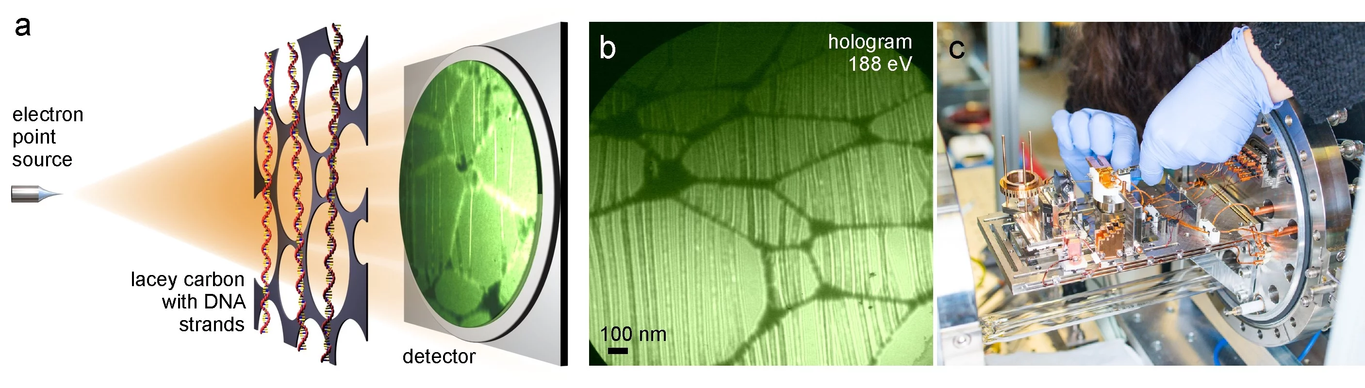 Low-energy electrn holography