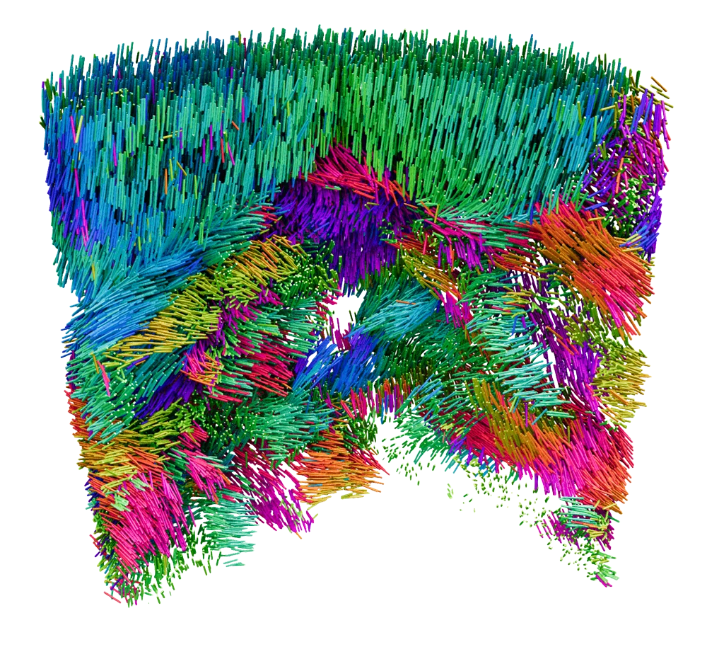 Many functional materials are composed of coherent domains or grains, where molecules and atoms are arranged in a repeating pattern that determines performance. X-ray Linear Dichroic Orientation Tomography (XL-DOT) allows 3D mapping of material microstructure at the nanoscale. Here, the technique is applied to a pillar of vanadium pentoxide catalyst, used in the production of sulfuric acid. The colours in the tomogram represent the different orientation of grains. 