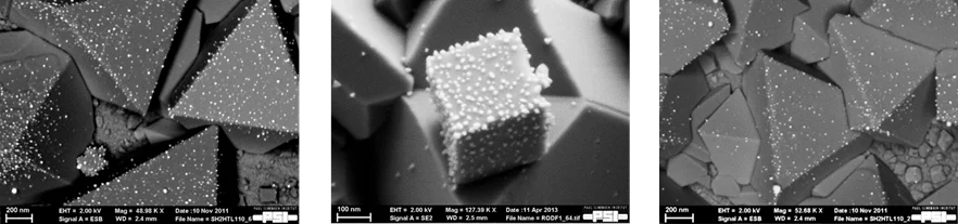 Scanning Electron Microscope images of stainless steel surfaces with platinum particles (white dots) resting on the oxide film.