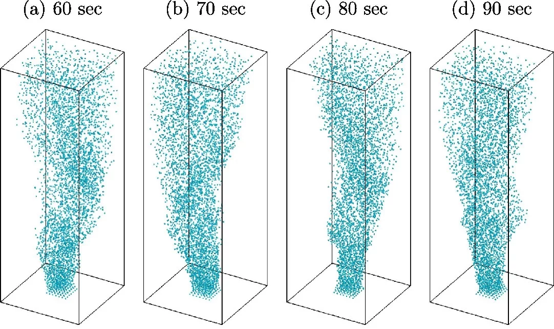 Bubble column simulation using finite-size Lagrangian particle tracking method (Ref.).