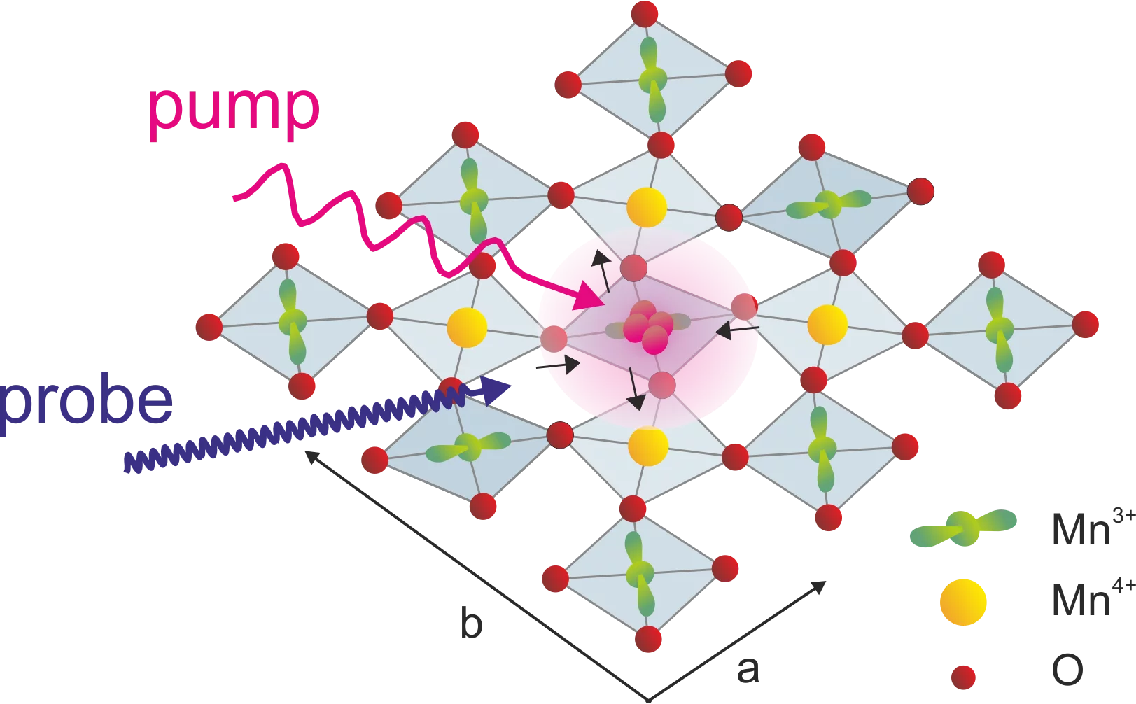 A time-dependent order parameter for ultrafast photoinduced phase transitions.