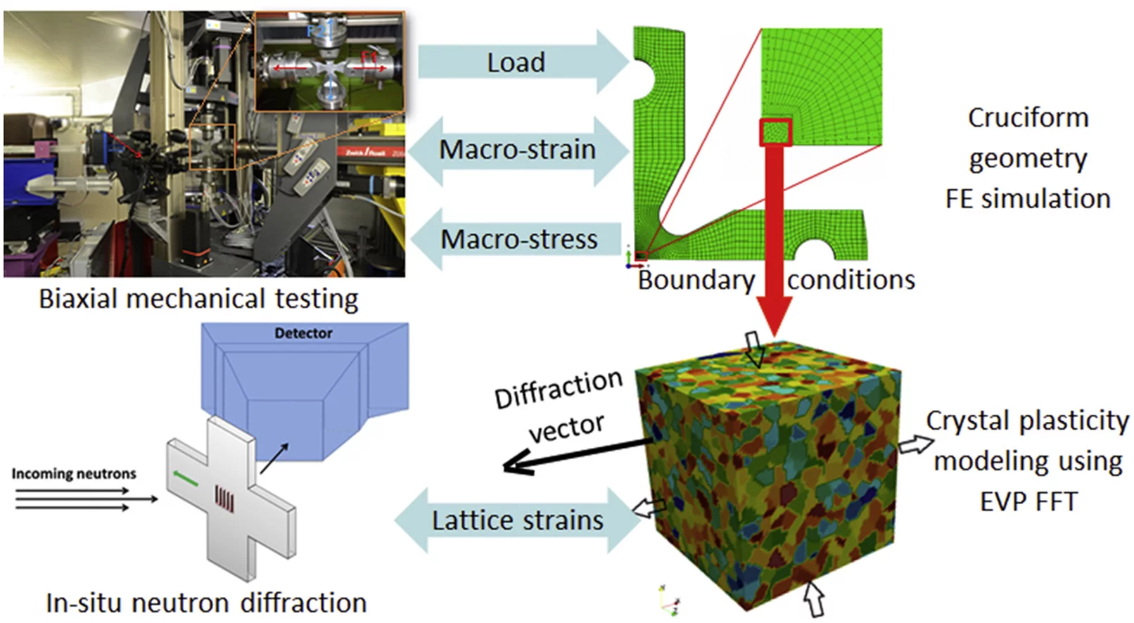 Synergy between in-situ mechanical testing and multi-scale FE-FFT modeling
