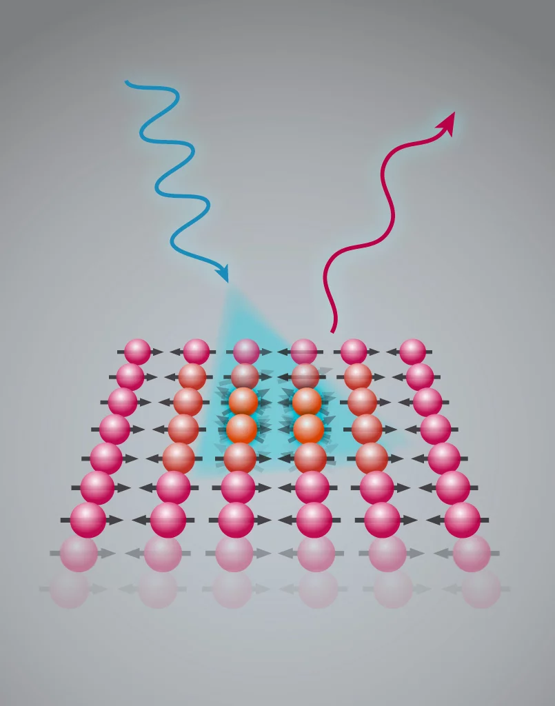 In the experiment, iron-based superconductors are illuminated with X-ray light from the SLS. The light excites a spin wave in the sample and consequently loses energy. By comparing the energy of the incoming and the outgoing light, one can deduce information on magnetic fluctuations. (Graphic: Paul Scherrer Institute/Markus Fischer)