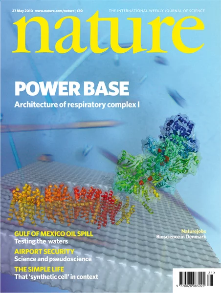 Respiratory complex I as shown on the cover of the Journal Nature  Reprinted by permission from Macmillan Publishers Ltd: Efremov, R. G., Baradaran, R. & Sazanov, L. A. Nature 465, 441–445 (2010)