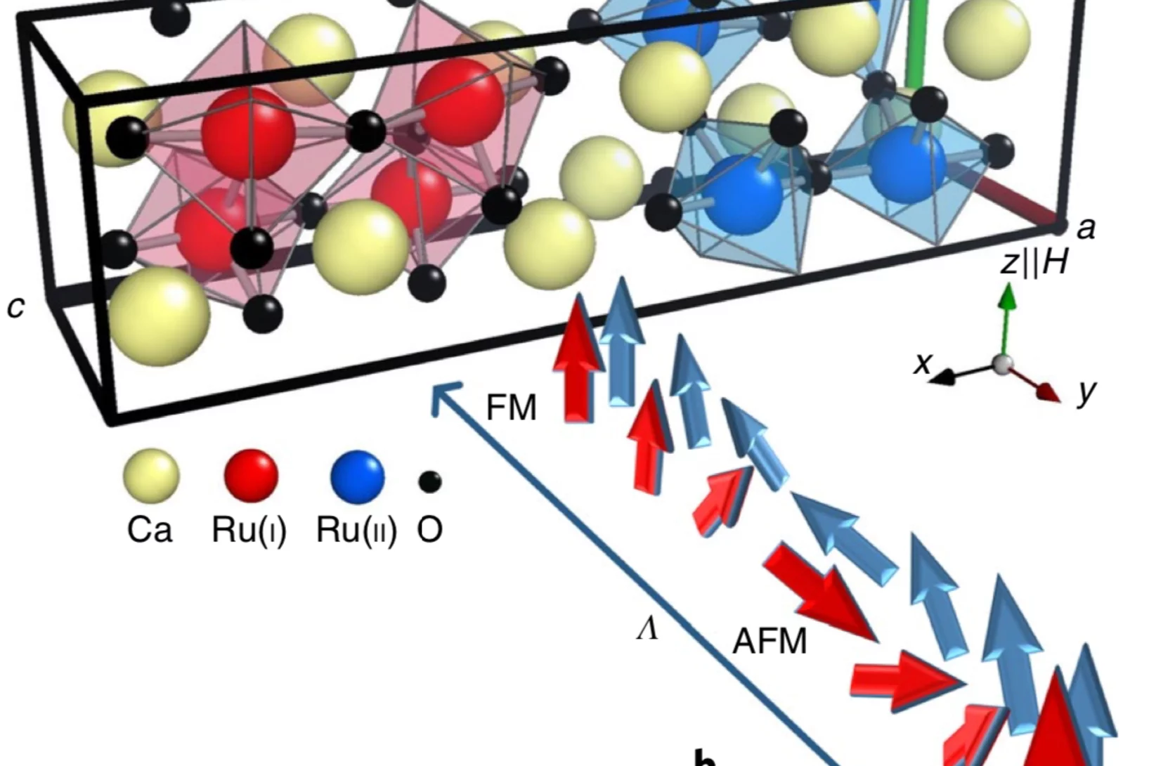 Metamagnetic texture in a polar antiferromagnet