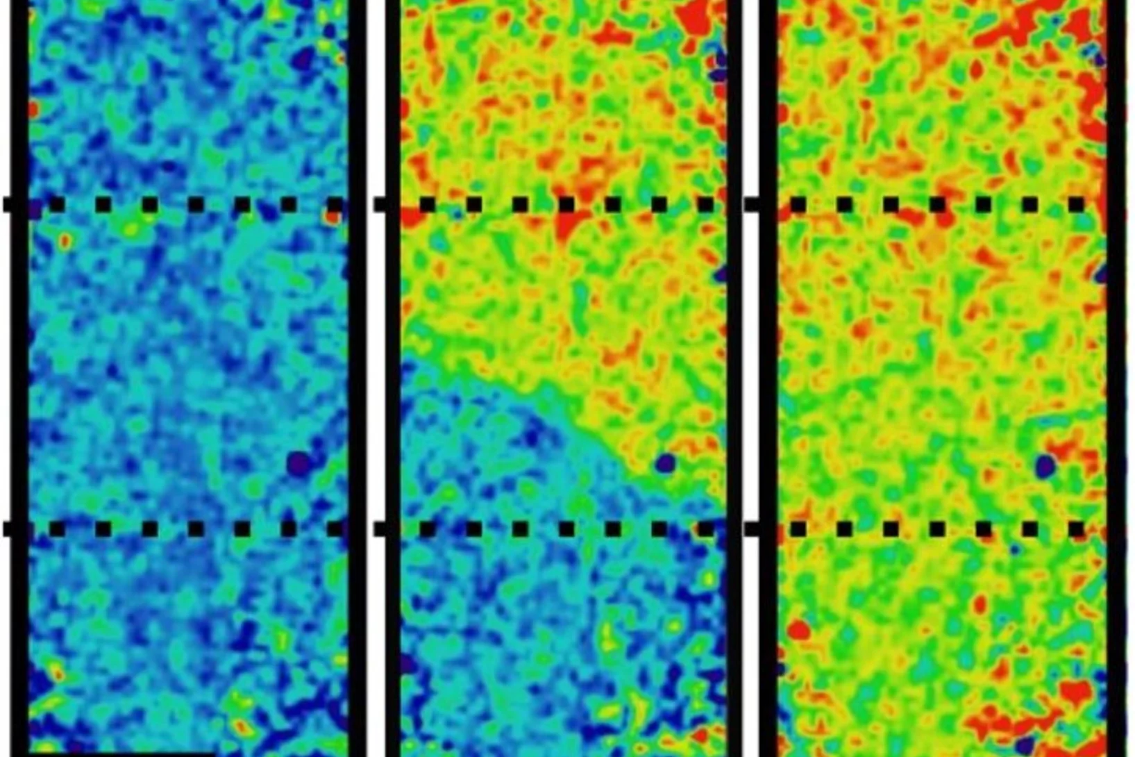 Water/ice distribution measured using time-of-flight neutron imaging