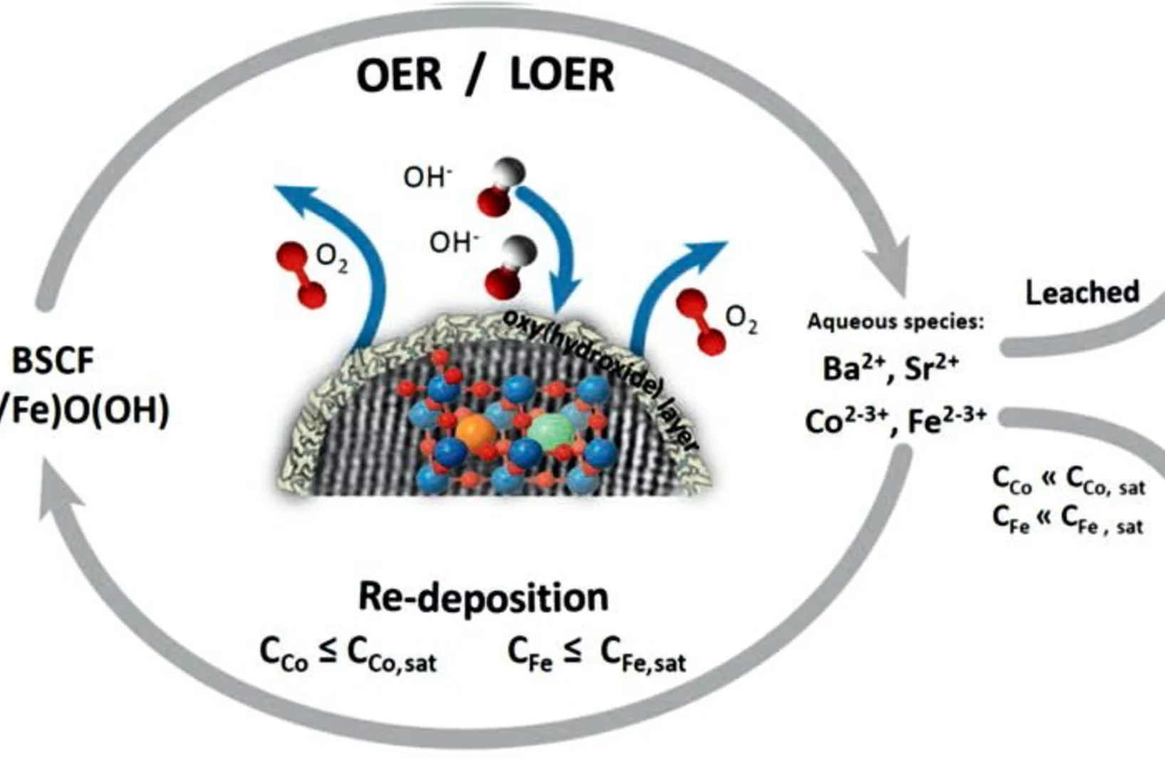 OER/LOER and dissolution/ redeposition mechanism