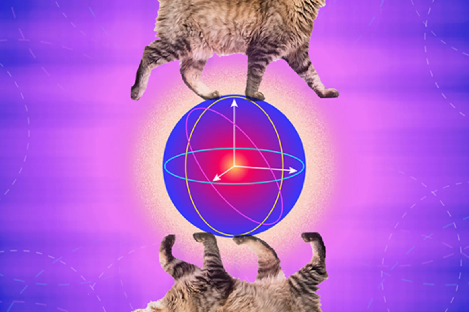 Cat Qubit 2