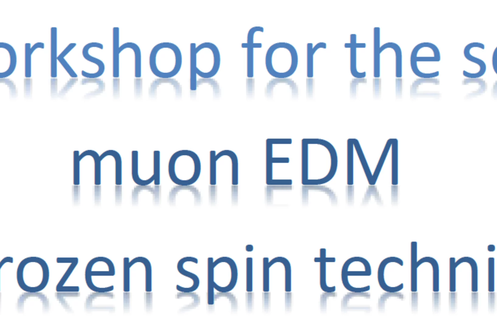 Muon EDM Workshop 2020
