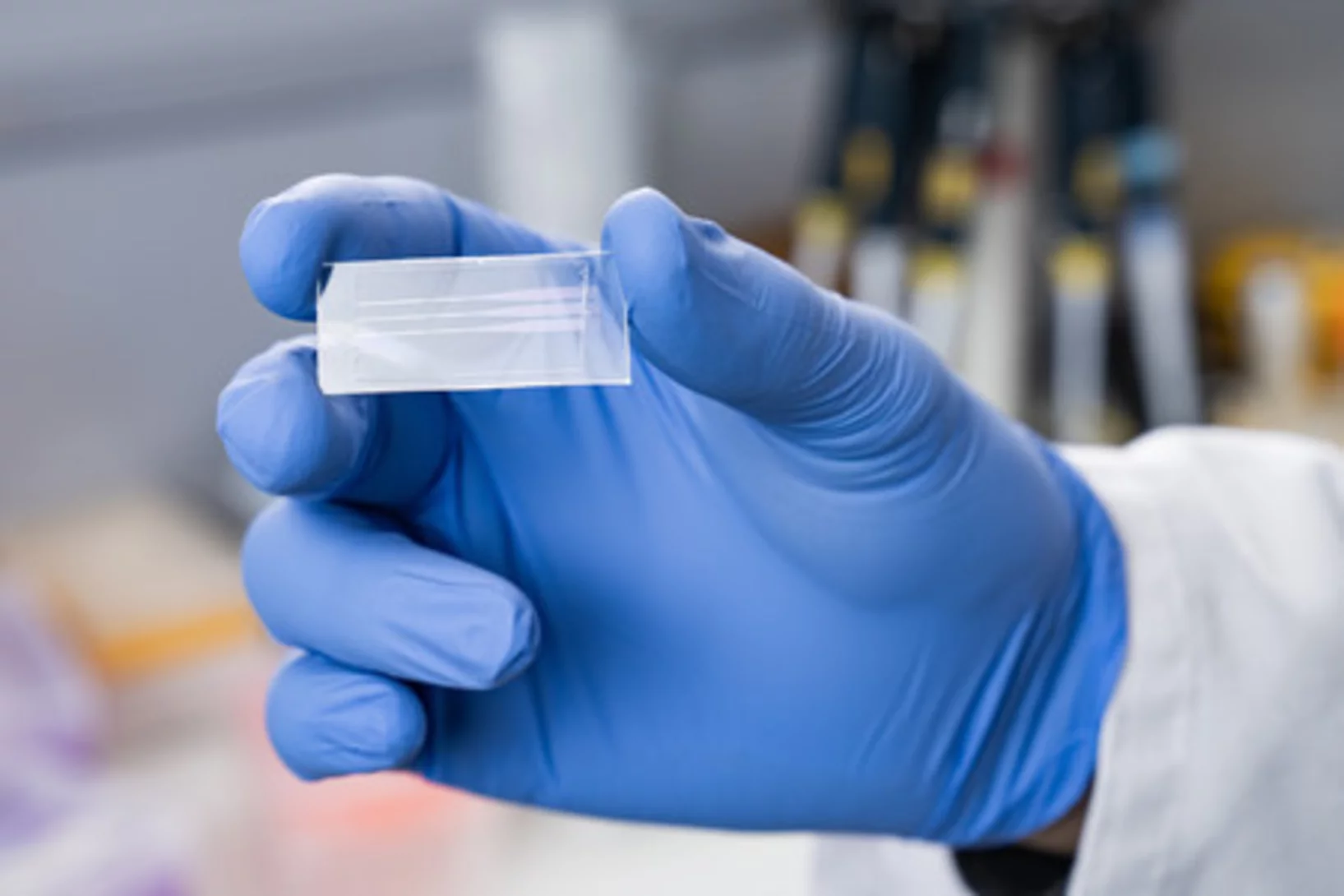 Les plaques de test qui permettent d'identifier les anticorps contre divers agents pathogènes de manière rapide et fiable sont similaires aux lames des microscopes conventionnels et sont faciles à utiliser. (Photo: Institut Paul Scherrer/Marhir Dzambegovic)