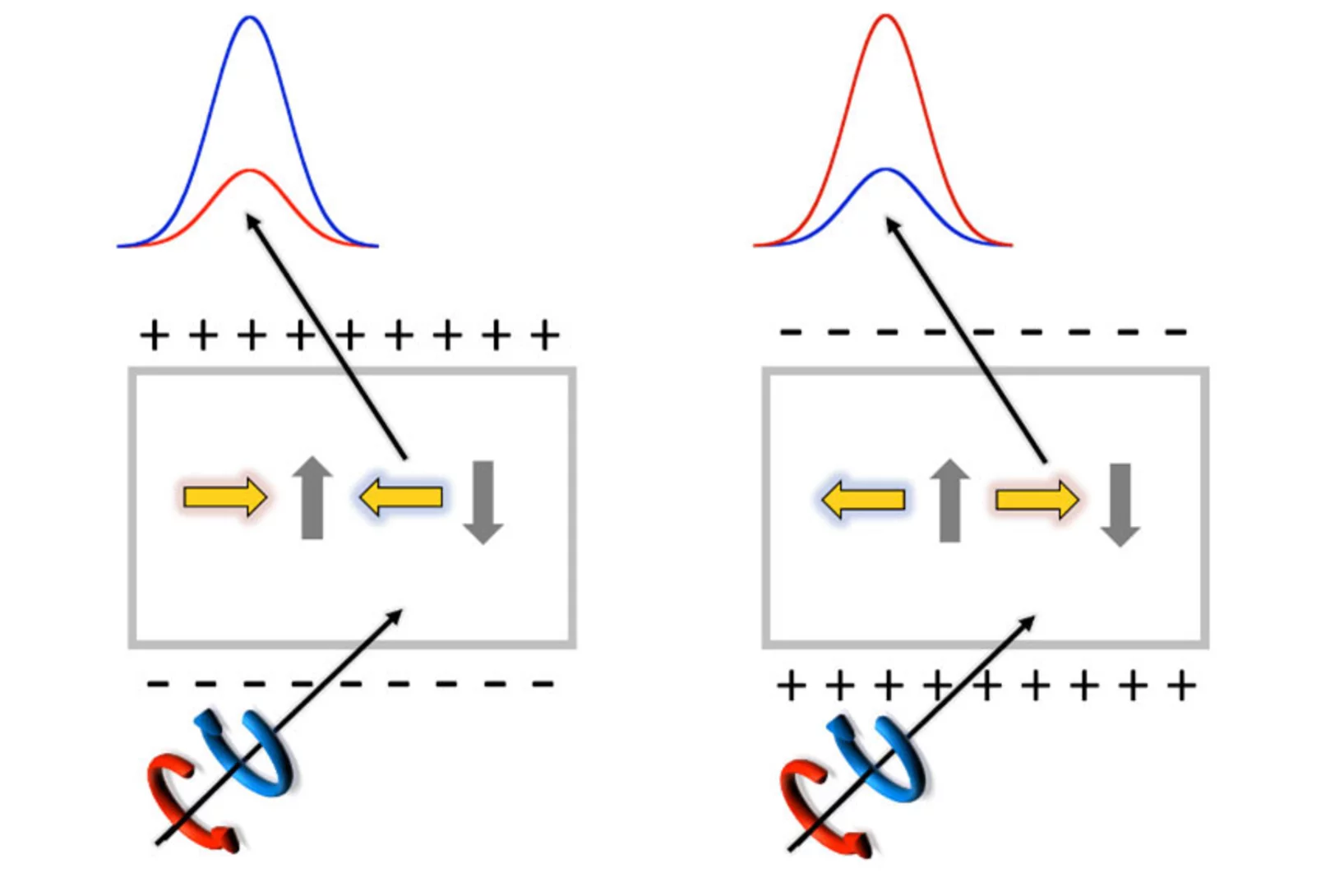 multiferroicity-in-rnio3-perovskites