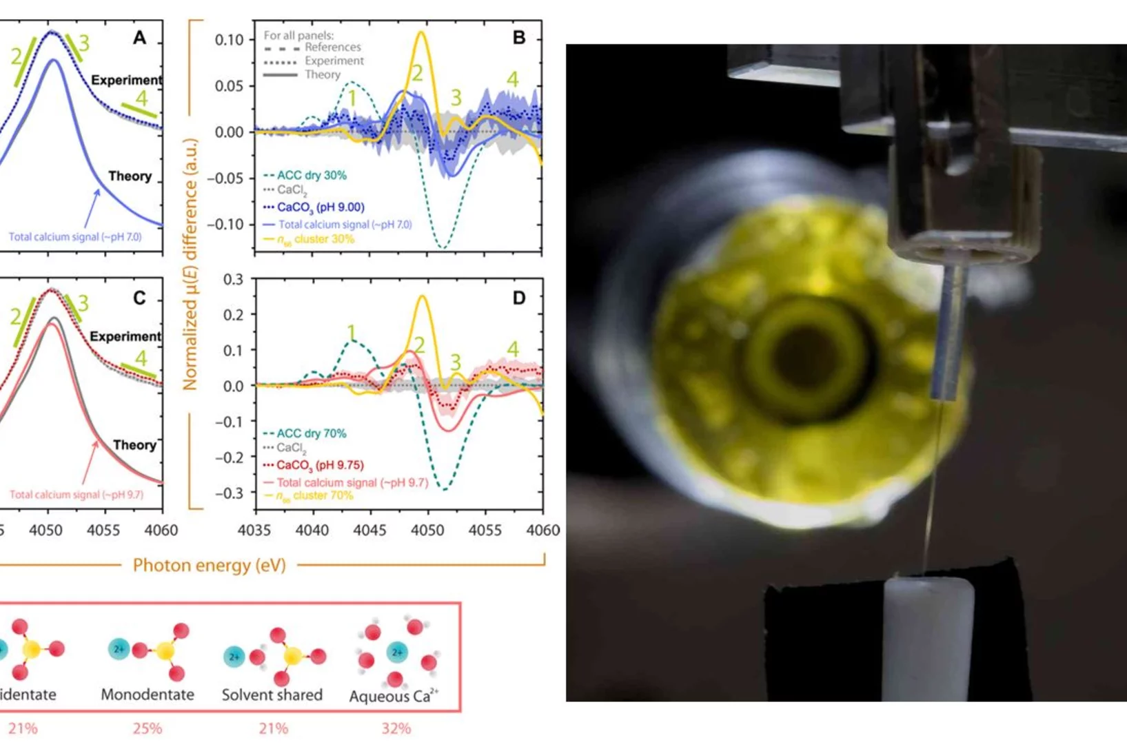 Left: X-ray absorption spectra from supersaturated calcium carbonate solutions taken with a liquid microjet at the PHOENIX beamline. Comparison of the spectra with theoretical modeling shows the dominance of various ion pairs in solution, as expected in a classical solution. Right: image of liquid microjet in PHOENIX endstation.