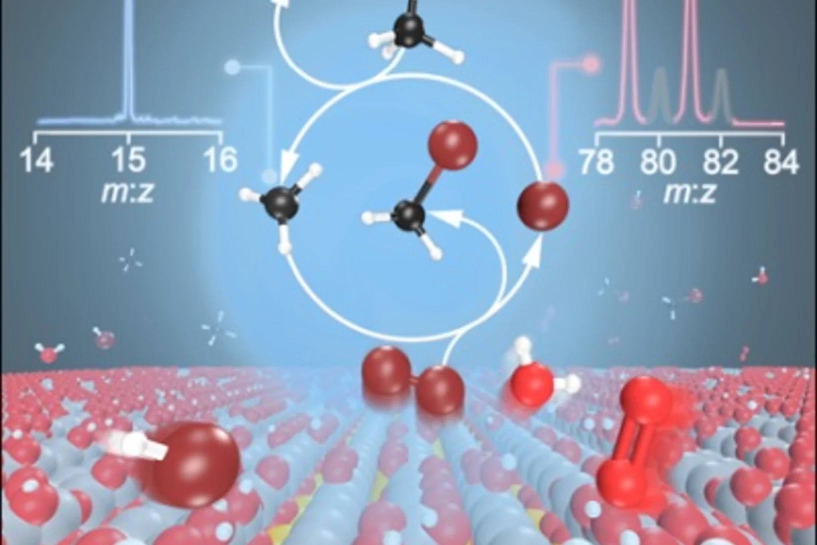Methyl radicals and bromine atoms were detected in the gas phase revealing the interplay of surface-catalyzed and gas-phase reactions in the catalytic oxybromination of methane.