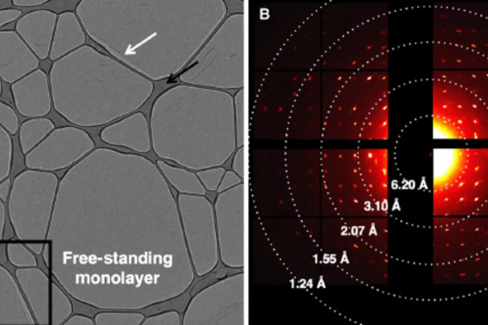 Cryo-TEM investigation of a free-standing monolayer of a calixarene derivative. The TEM-Picture on the left shows the monolayer deposited on a lacey carbon support. The electron diffraction pattern on the left confirms the formation of a crystalline monolayer