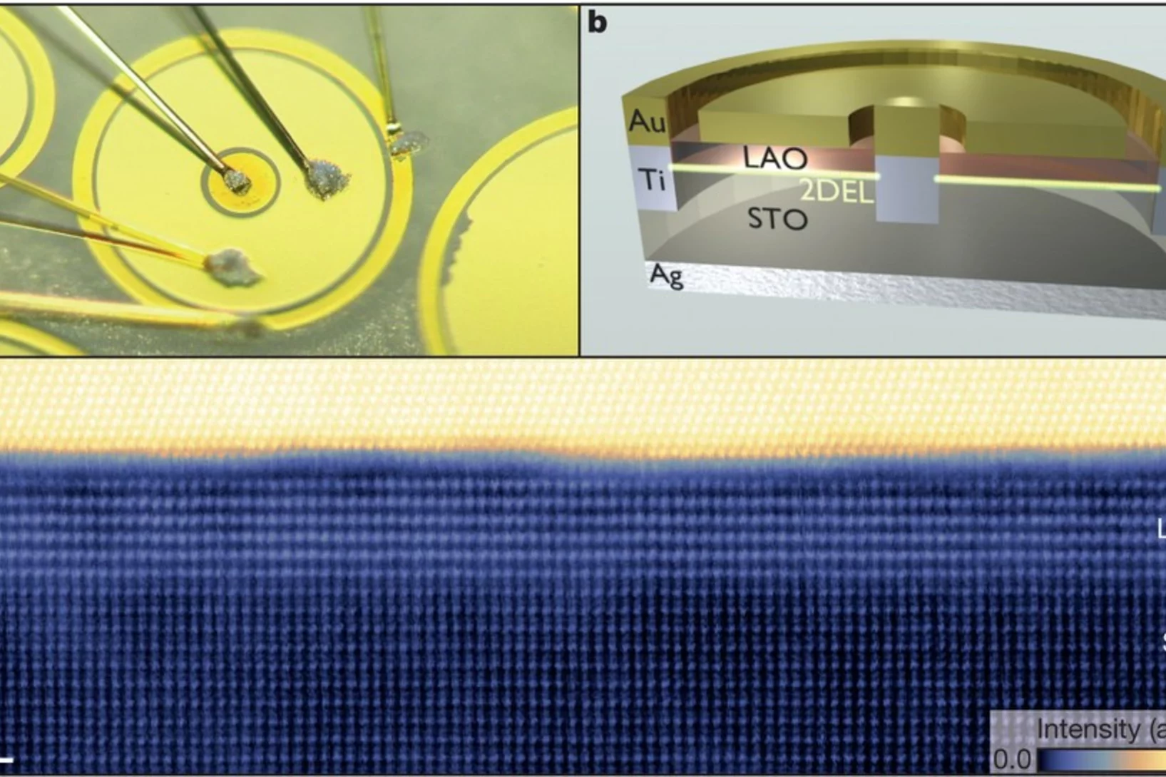 Photograph (a) and schematic cross section (b) of a typical Au–LaAlO3–SrTiO3 tunnel device. The broad gold ring (inner diameter, 160 μm) lies on top of the LaAlO3 layer, which serves as a tunnel barrier between the 2DEL and the Au. The outer ring and the centre contact of the device are Au-covered Ti contacts to the 2DEL. c, Cross-sectional high-angle annular dark-field STEM image of a Au–LaAlO3–SrTiO3 tunnel junction. The image is taken along the zone axis of the perovskite unit cells. a.u., arbitrary uni…