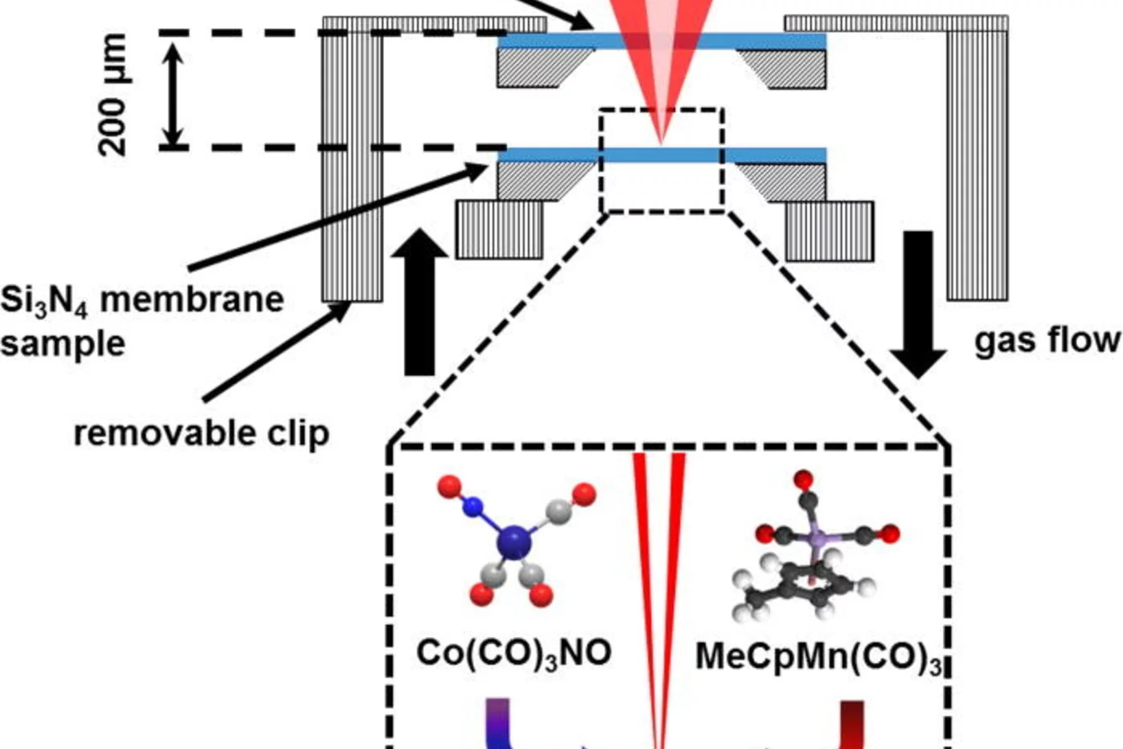 Scheme of the PolLux-STXM gas cell setup to realize precursor molecule flowing on 50 nm Si3N4 membrane surface and further in situ characterization. Two precursors were used in our experiments with metal ions in the center of the molecule: Co(CO)3NO and MeCpMn(CO)3.