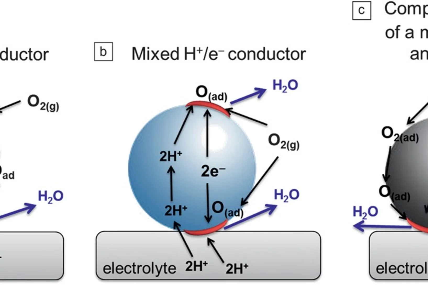 Possible reactions at the cathode using (a) a mixed O2- ion/e− conductor, (b) a mixed H+/e− conductor, and (c) a composite cathode made of a proton conductor phase and a mixed O2–/e− conductor phase. The dark gray spheres represent a mixed O2–/e− conductor phase, the light blue sphere is a mixed H+/e– conductor, while the light gray sphere is a H+ conductor. The red semicircles represent the reaction sites where the oxygen reduction takes place.