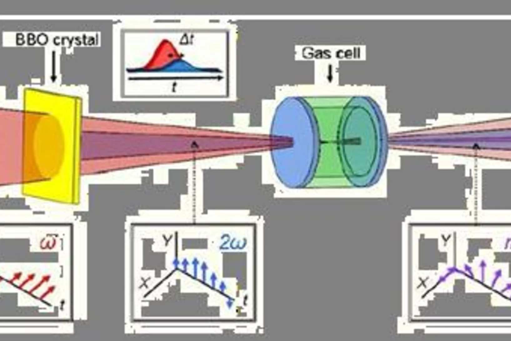 Table-top soft x-ray laser delivering circularly polarized femtosecond pulses