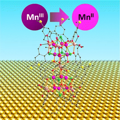View of a Mn19 molecule on the gold surface. The surface-induced changes of the oxidation state and magnetic properties of the constituent Mn ions have been probed by X-ray absorption spectroscopy and X-ray magnetic circular dichroism.