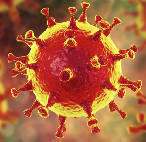 Coronavirus