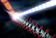 The injector shoots tiny protein crystals into the beam of X-ray pulses