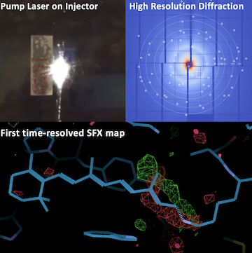 First serial femtosecond crystallography (SFX) pilot user experiment at SwissFEL